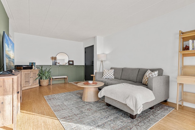 living room with hardwood / wood-style floors