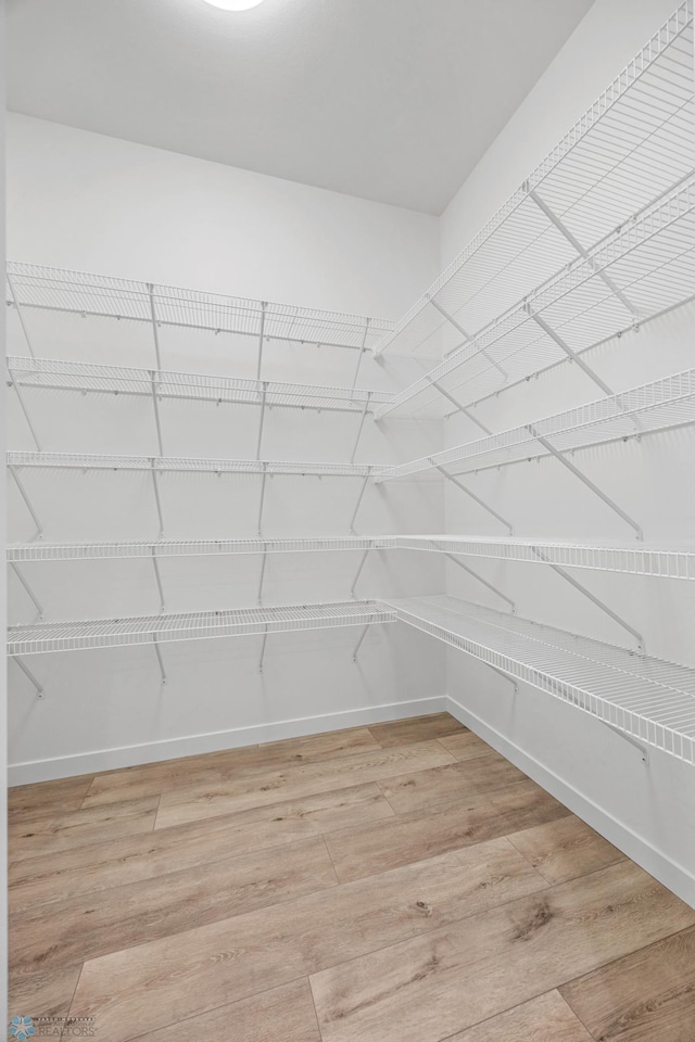 spacious closet featuring light hardwood / wood-style floors