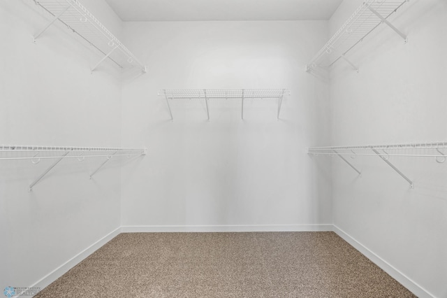 spacious closet with carpet floors