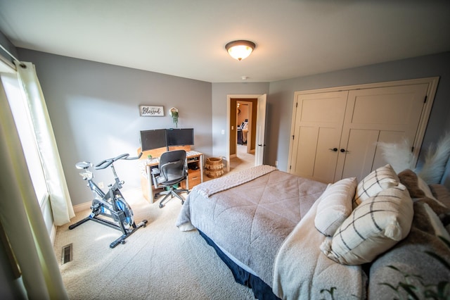 2441 Rosewood Ln SW, Rochester, MN 55902 - bedroom featuring carpet floors, a closet, baseboards, and a desk