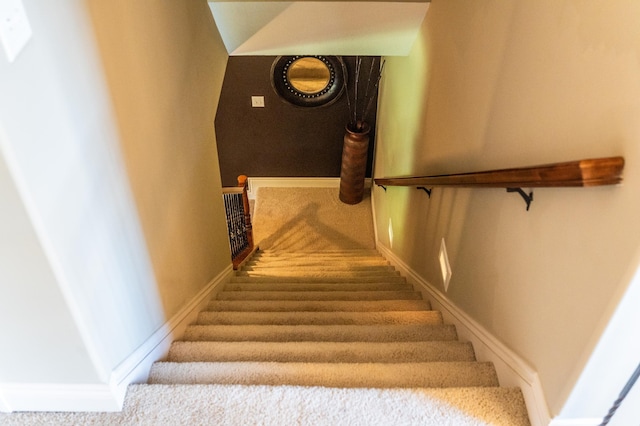 2441 Rosewood Ln SW, Rochester, MN 55902 - stairway with carpet and baseboards