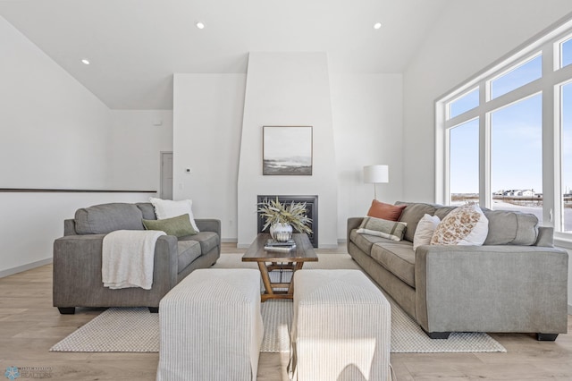 living room featuring light hardwood / wood-style flooring and a high ceiling