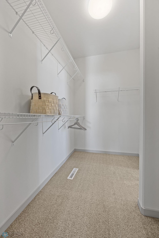 walk in closet featuring carpet