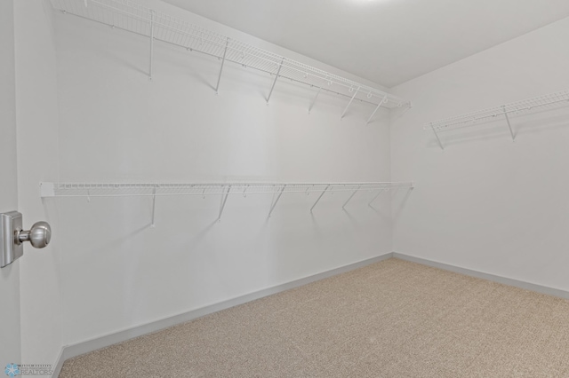 walk in closet with carpet