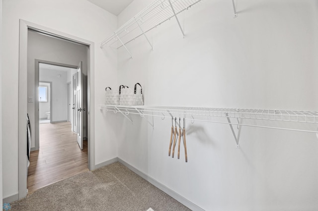 spacious closet featuring carpet floors
