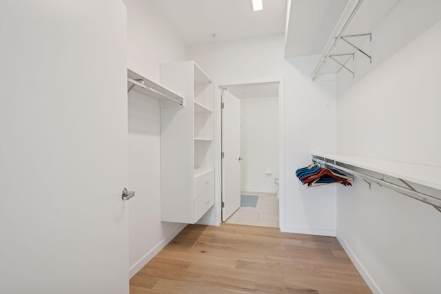 spacious closet featuring light hardwood / wood-style flooring