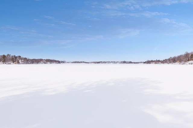 view of yard layered in snow