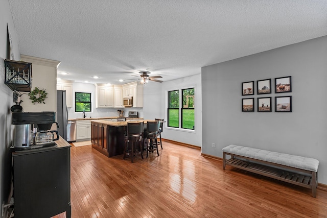 17130 Uplander Cir NW, Andover, MN 55304 - dining space with a textured ceiling, a ceiling fan, plenty of natural light, light wood-type flooring, and baseboards
