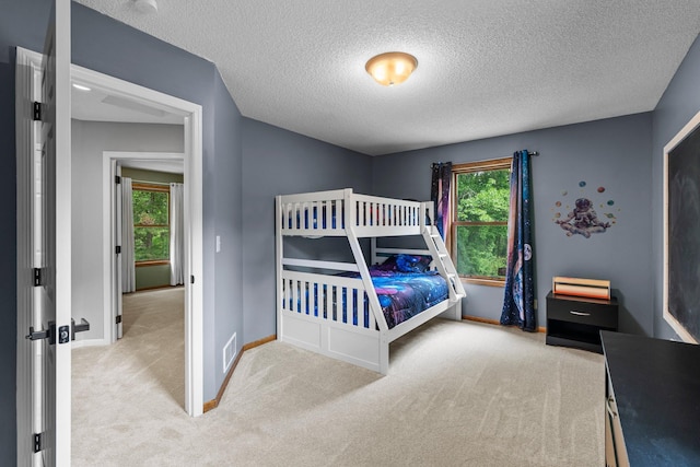 17130 Uplander Cir NW, Andover, MN 55304 - bedroom with carpet, multiple windows, a textured ceiling, and baseboards