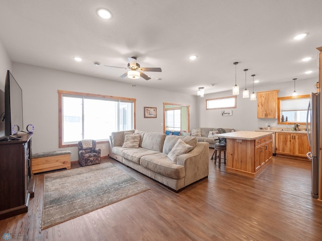 living room with ceiling fan, dark hardwood / wood-style floors, and sink