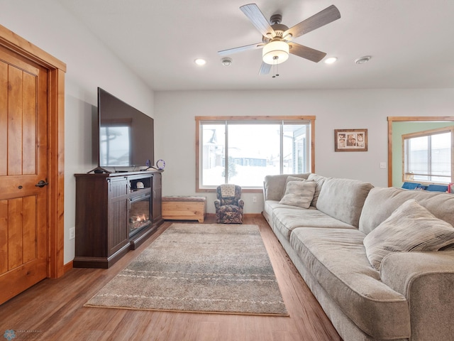 living room with ceiling fan, a wealth of natural light, and wood-type flooring