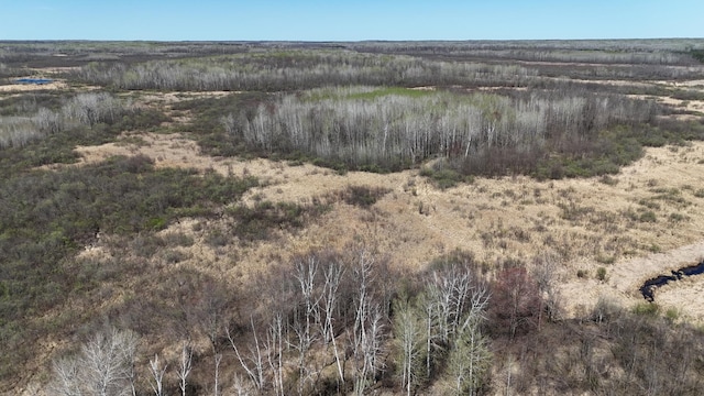 TBD County Road 6, Kettle River, MN 55757