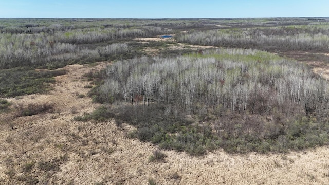 TBD County Road 6, Kettle River, MN 55757