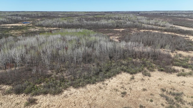 TBD County Road 6, Kettle River, MN 55757