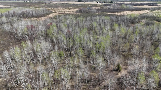 TBD County Road 6, Kettle River, MN 55757