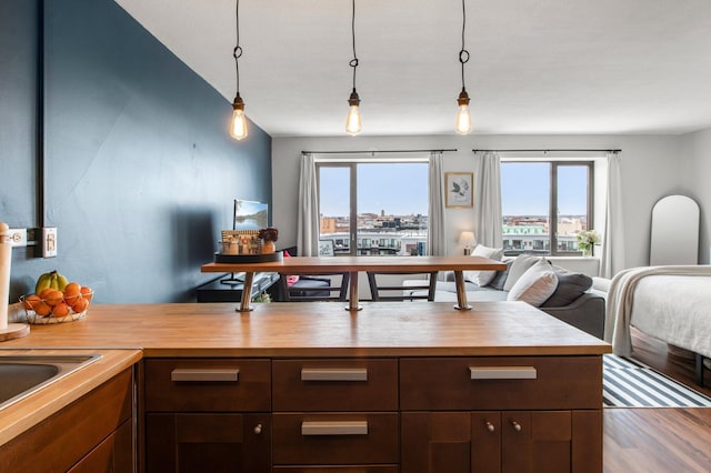 kitchen featuring hanging light fixtures, wood-type flooring, and sink