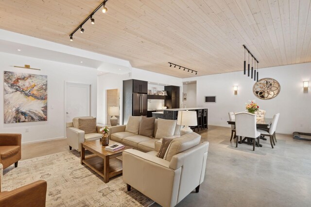 1325 State Highway 27, Ladysmith, WI 54848 - living room featuring track lighting, wood ceiling, and baseboards