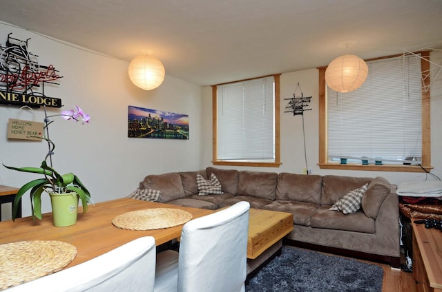 living room with hardwood / wood-style flooring