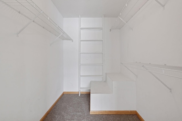 spacious closet with dark colored carpet