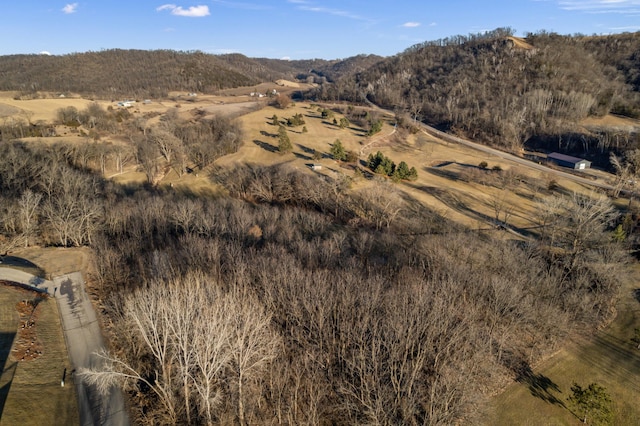 X Golf View Rd, Cochrane, WI 54622