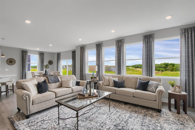 living room featuring light hardwood / wood-style flooring