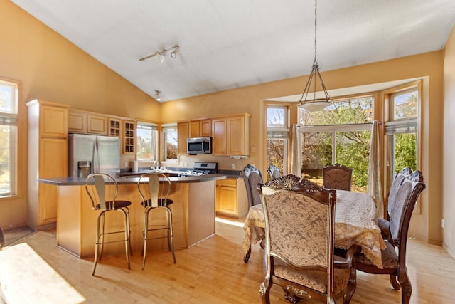 kitchen with decorative light fixtures, a center island, vaulted ceiling, appliances with stainless steel finishes, and light hardwood / wood-style floors