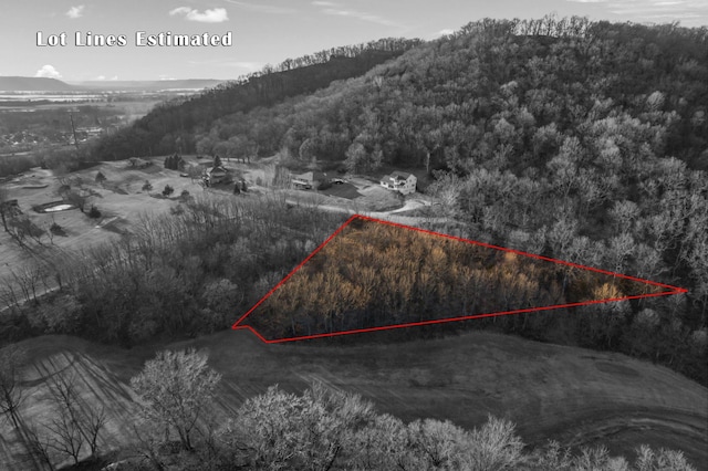 XX Golf View Rd, Cochrane, WI 54622 - photo 1