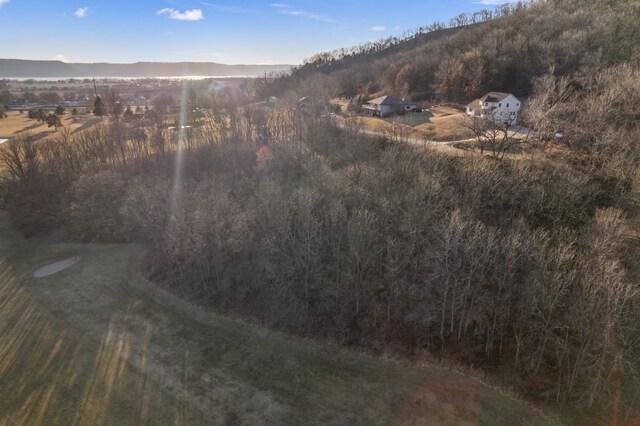 XX Golf View Rd, Cochrane, WI 54622 - photo 4