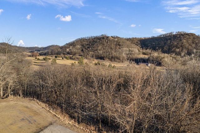 XX Golf View Rd, Cochrane, WI 54622 - photo 6