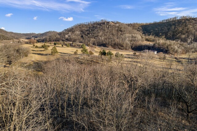 XX Golf View Rd, Cochrane, WI 54622 - photo 8