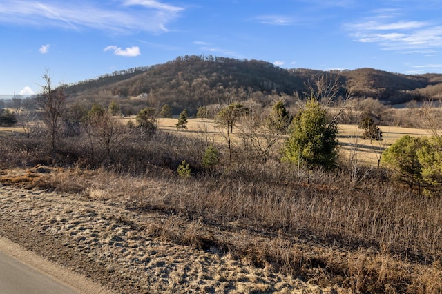 X County Rd O, Belvidere Twp, WI 54622