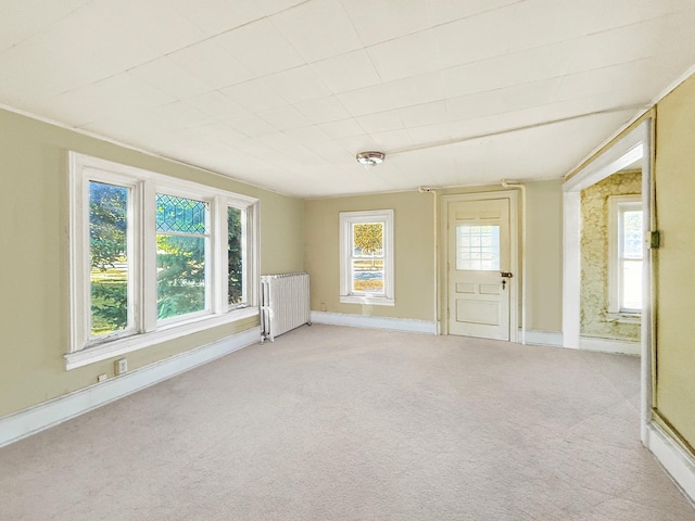 205 Adams St, Hutchinson, MN 55350 - spare room featuring radiator, light colored carpet, and baseboards
