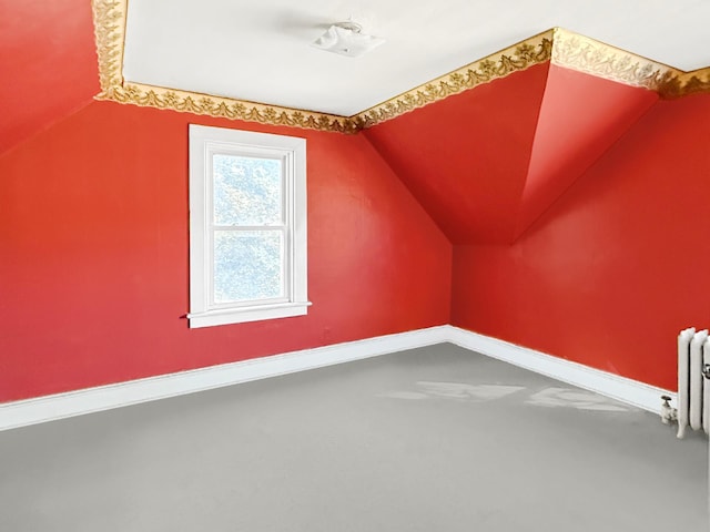 205 Adams St, Hutchinson, MN 55350 - bonus room featuring vaulted ceiling, radiator heating unit, and baseboards