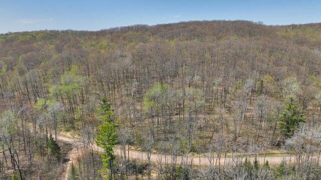 3.91ACRES Gueldner Ln N, Meteor Twp, WI 54835 - photo 3