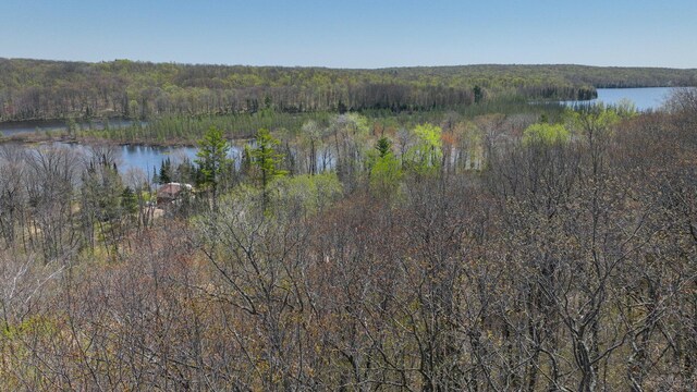 3.91ACRES Gueldner Ln N, Meteor Twp, WI 54835 - photo 6