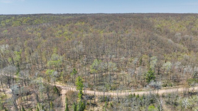 3.91ACRES Gueldner Ln N, Meteor Twp, WI 54835 - photo 10