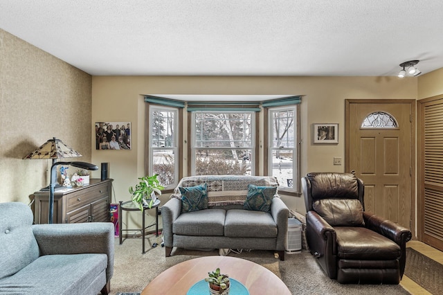 living room featuring light colored carpet and a textured ceiling