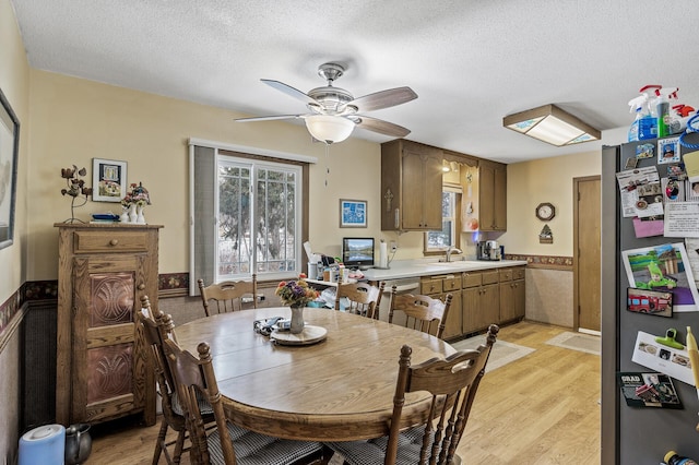 dining room featuring a healthy amount of sunlight, light hardwood / wood-style flooring, and a textured ceiling