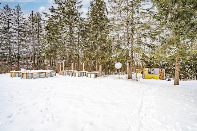 view of yard covered in snow