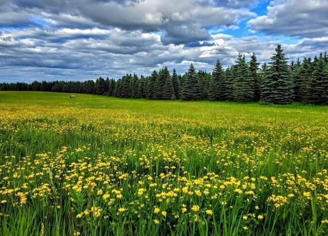 XXXX County Road 42 Ne, Alexandria MN, 56308 land for sale