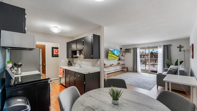 kitchen featuring appliances with stainless steel finishes, a wall mounted air conditioner, sink, a baseboard heating unit, and light wood-type flooring