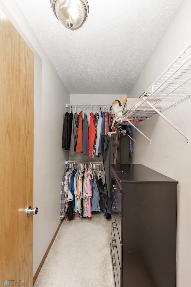 spacious closet featuring light carpet