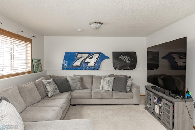 carpeted living room with a textured ceiling