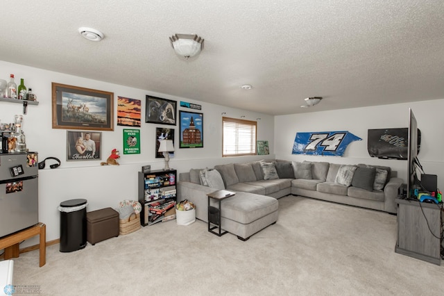 living area with carpet and a textured ceiling