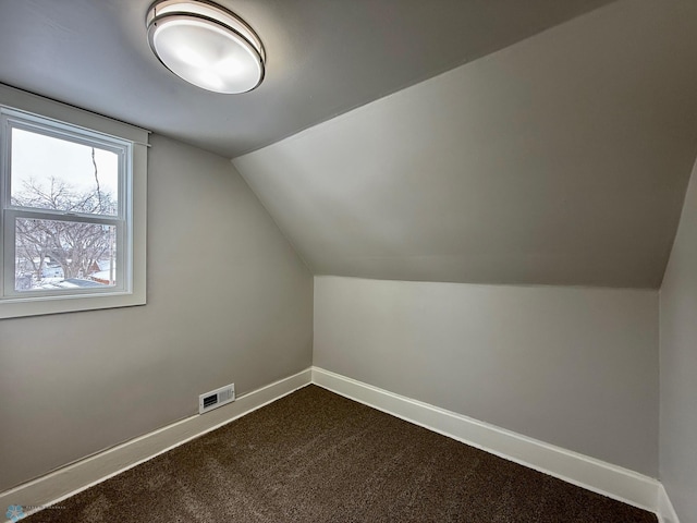 additional living space featuring vaulted ceiling and carpet