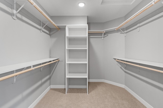 walk in closet featuring light colored carpet