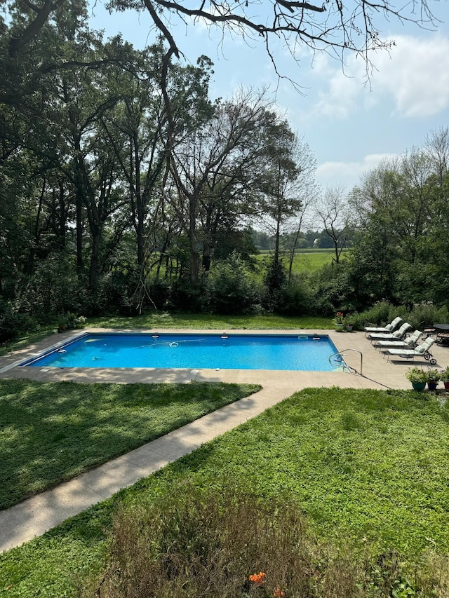 view of swimming pool with a lawn