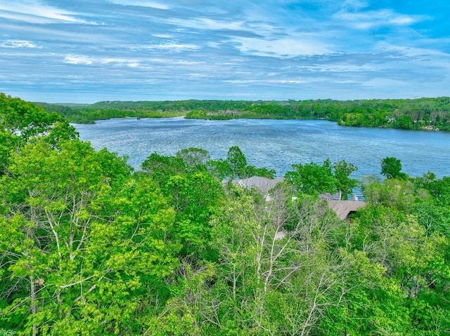 water view with a heavily wooded area