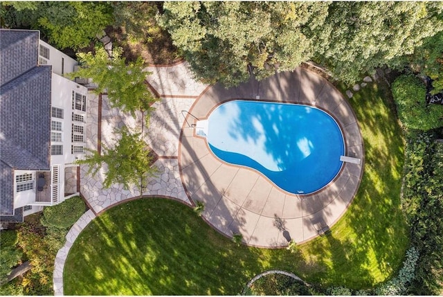bird's eye view