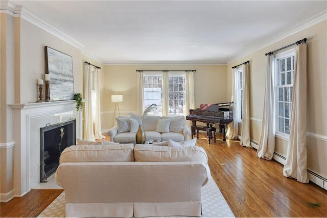 living area with crown molding, a fireplace with flush hearth, and wood finished floors